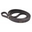 Wrapped banded belt 350463.0 suitable for Claas [CZ]