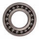 Spherical double row ball bearing 9902889585 [SKF]