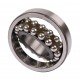 Spherical double row ball bearing 9902889585 [SKF]