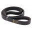 Wrapped banded belt 667249 suitable for Claas [Agrobelt ]