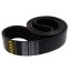 D41979900 Massey Ferguson - Wrapped banded belt 0226330 [Gates Agri]