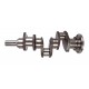 Crankshaft 3637454M91 Massey Ferguson for engine [Genmot]