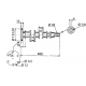 Crankshaft 3637454M91 Massey Ferguson for engine [Genmot]