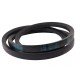 C-2175 [Dunlop] Classic V-Belt C2175 Lw/22x14-2124Li