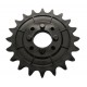 Chain sprocket G66248165 suitable for Gaspardo, T20