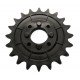 Chain sprocket G66248165 suitable for Gaspardo, T20