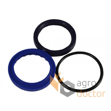 Hydraulic cylinder repair kit F03100191 Gaspardo