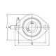 Bearing with flange housing GSH