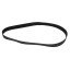 Mulpiple V-ribbed belt 1016-16PJ - F06010171 for Gaspardo planters