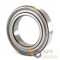 6011-2Z [SKF] Deep groove ball bearing