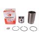 Piston-Liner Kit AR90550 John Deere, 3 rings [Tarabusi]