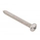 Self-tapping screw F01070075 - M4.2x38 DIN 7981- for Gaspardo planters