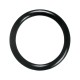 Seal ring 170098 suitable for Vaderstad