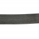 Multiple V-ribbed belt AP1003191 [Optibelt]