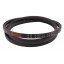Classic V-belt (B-78) 634019.0 suitable for Claas [Bando ]