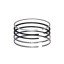 Piston rings for 0616440000 Deutz Fahr engine Deutz FL812, (5 rings), [Bepco]