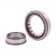 NJ 211 ECP [SKF] Cylindrical roller bearing
