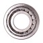 F04050042 Gaspardo, 3140666R91 CNH [SKF] Tapered roller bearing