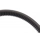 Variable speed belt (toothed) 667457 suitable for Claas [Bando ]