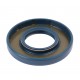 Oil seal 25х52х7 BASL HNBR - 12011126B [Corteco]