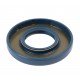 Oil seal 25х52х7 BASL HNBR - 12011126B [Corteco]