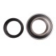 216429 / 216429.0 / 0002164290 [BBC-R Latvia] - suitable for Claas - Insert ball bearing