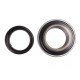 87338614 / 87338613 [BBC-R Latvia] - suitable for New Holland - Insert ball bearing