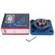 Bearing unit F04060020 Gaspardo [BBC-R]