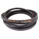 Courroie (AX173), étroite H175628 adaptable pour John Deere [Timken Gold-Ribbon Cog-Belt]