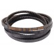 Narrow belt (AX173), H175628 suitable for John Deere [Timken Gold-Ribbon Cog-Belt]
