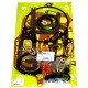 Full engine gasket set 02910184 Deutz-Fahr