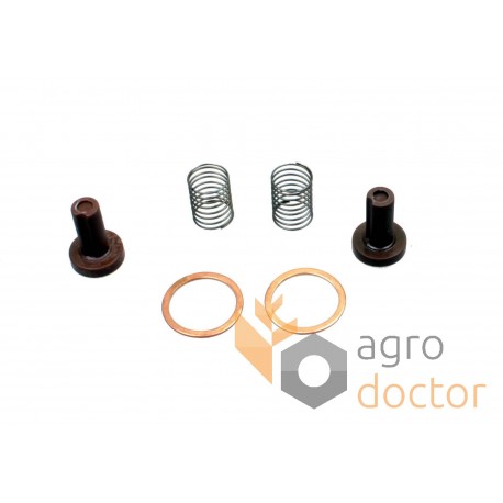 Kit de réparation de pompe à carburant du moteur adaptable pour Claas - 132211.0