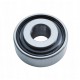 1258017C91 CNH, GA2014 Kinze, 00310104 [Cametet] - suitable for HORSCH - Insert ball bearing
