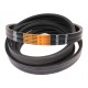 Wrapped banded belt 2RHB191 - AG10290W [Timken] suitable for John Deere