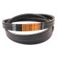 Wrapped banded belt 2RHB128 - AG10150W [Timken] suitable for New Holland