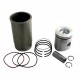 Piston kit (d106.5mm) RE19831 John Deere engine, 3 rings