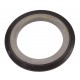 Oil seal  169329C91 suitable for CNH [SKF]