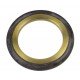 Oil seal  AR26480 suitable for John Deere [SKF]