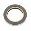 Oil seal 3429791M1 Massey Ferguson, 87309584 87309584 suitable for New Holland [Bepco]