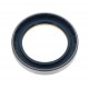 Oil seal 3429791M1 Massey Ferguson, 87309584 87309584 suitable for New Holland [Bepco]