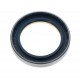 Oil seal 3429791M1 Massey Ferguson, 87309584 87309584 suitable for New Holland [Bepco]