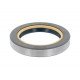 Oil seal 3429791M1 Massey Ferguson, 87309584 87309584 suitable for New Holland [Bepco]