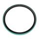 Oil seal  AH108161 suitable for John Deere [SKF]