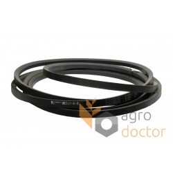 Classic V-belt C22X6656Lw [Roflex]