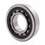 219115, 219115.0, 0002191150 Claas - NJ311-E-XL-TVP2-C4 [FAG] Cylindrical roller bearing