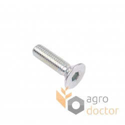 Hidden bolt М8x30 - 236330 suitable for Claas , (10.9)