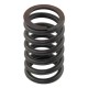 Exhaust valve spring (D29.56 d21.4 L50.66) engine 3174P405 Perkins