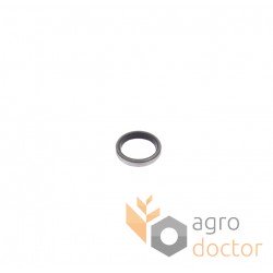 Oil seal T22101 John Deere [SKT]