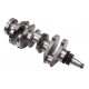 Crankshaft 99464932 IVECO for engine [Genmot]