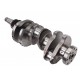 Crankshaft 99464932 IVECO for engine [Genmot]